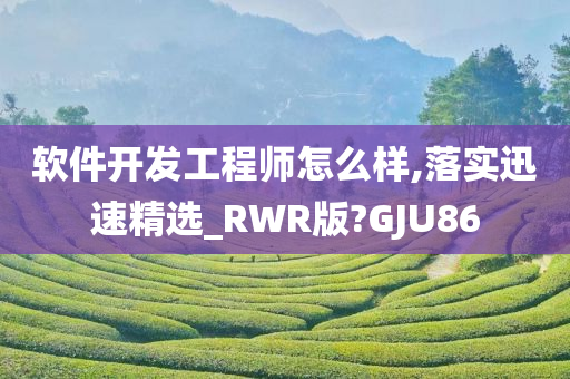 软件开发工程师怎么样,落实迅速精选_RWR版?GJU86