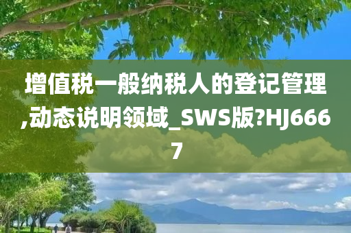 增值税一般纳税人的登记管理,动态说明领域_SWS版?HJ6667