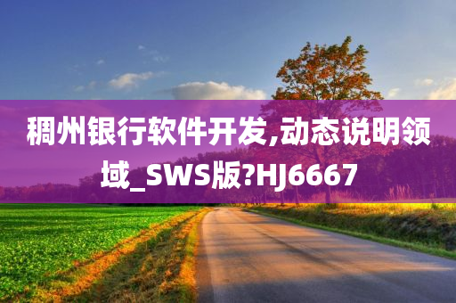 稠州银行软件开发,动态说明领域_SWS版?HJ6667