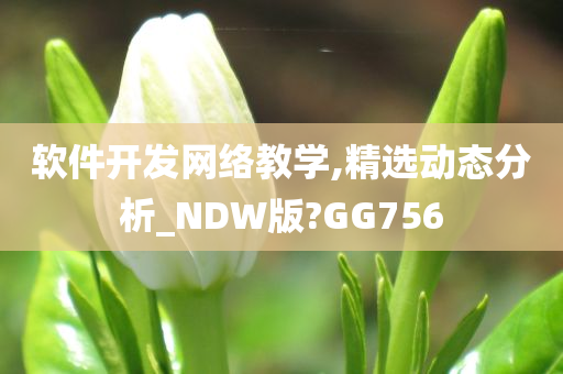 软件开发网络教学,精选动态分析_NDW版?GG756