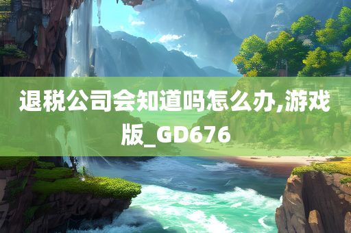 退税公司会知道吗怎么办,游戏版_GD676