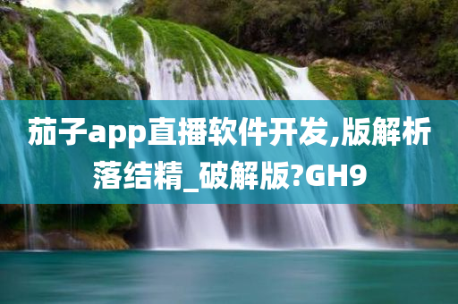 茄子app直播软件开发,版解析落结精_破解版?GH9