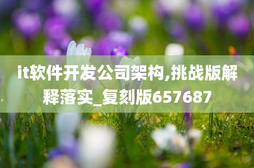 it软件开发公司架构,挑战版解释落实_复刻版657687