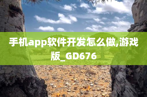 手机app软件开发怎么做,游戏版_GD676