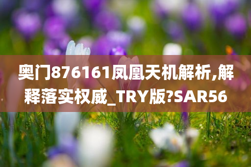 奥门876161凤凰天机解析,解释落实权威_TRY版?SAR56