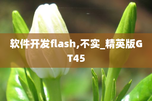 软件开发flash,不实_精英版GT45