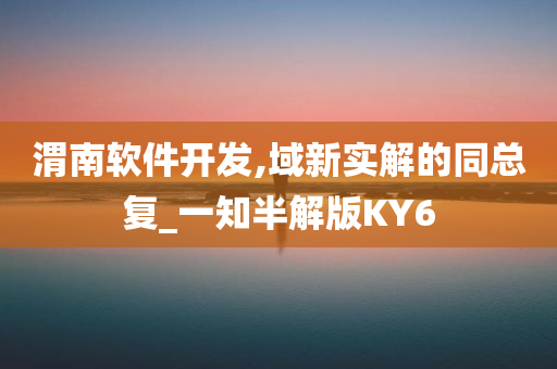 渭南软件开发,域新实解的同总复_一知半解版KY6