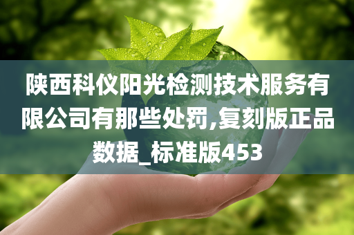 陕西科仪阳光检测技术服务有限公司有那些处罚,复刻版正品数据_标准版453