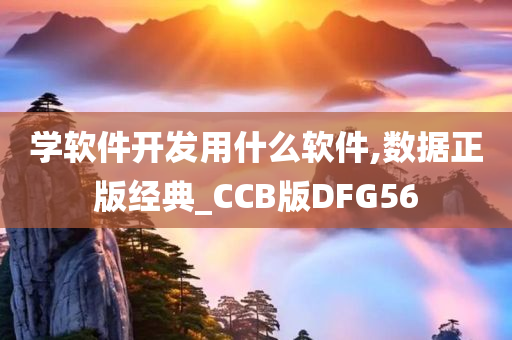 学软件开发用什么软件,数据正版经典_CCB版DFG56