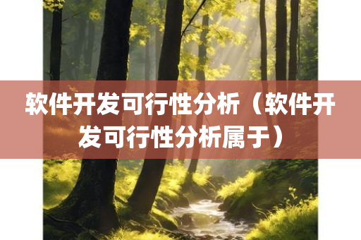 软件开发可行性分析（软件开发可行性分析属于）