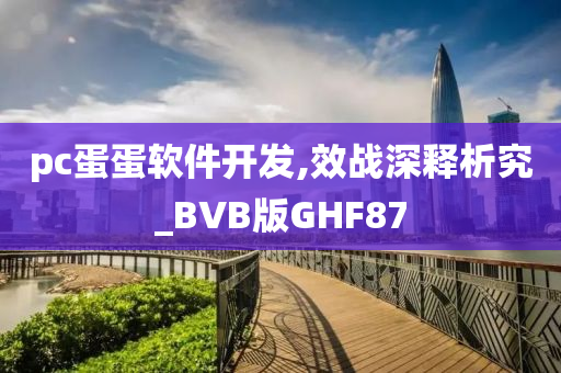 pc蛋蛋软件开发,效战深释析究_BVB版GHF87