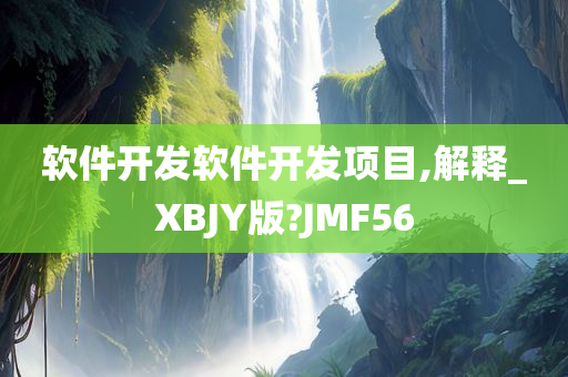 软件开发软件开发项目,解释_XBJY版?JMF56