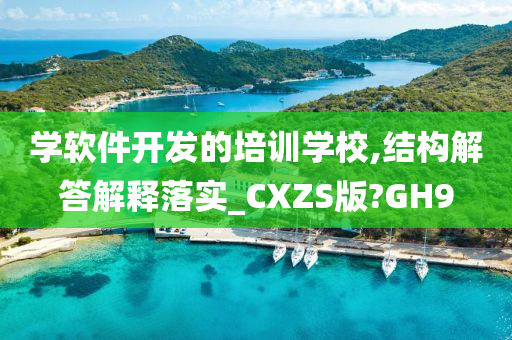 学软件开发的培训学校,结构解答解释落实_CXZS版?GH9