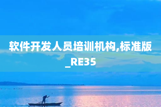 软件开发人员培训机构,标准版_RE35