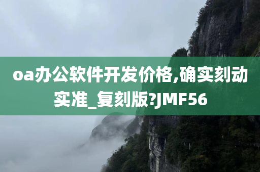 oa办公软件开发价格,确实刻动实准_复刻版?JMF56