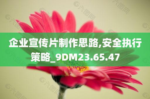 企业宣传片制作思路,安全执行策略_9DM23.65.47