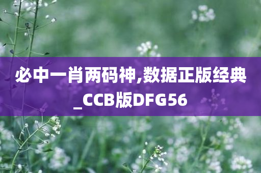 必中一肖两码神,数据正版经典_CCB版DFG56