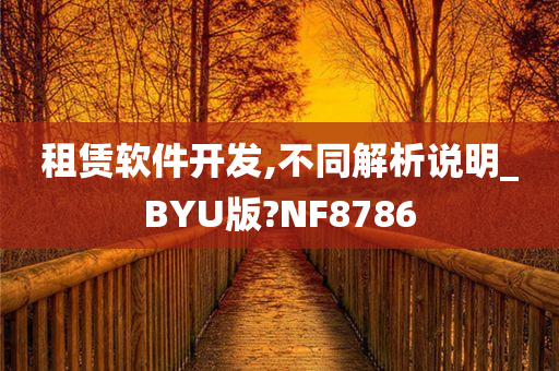 租赁软件开发,不同解析说明_BYU版?NF8786