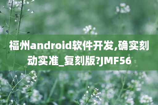 福州android软件开发,确实刻动实准_复刻版?JMF56