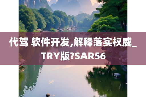 代驾 软件开发,解释落实权威_TRY版?SAR56