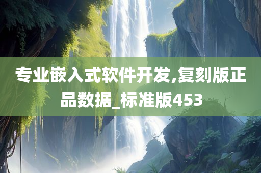 专业嵌入式软件开发,复刻版正品数据_标准版453