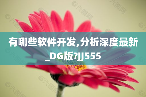 有哪些软件开发,分析深度最新_DG版?JJ555