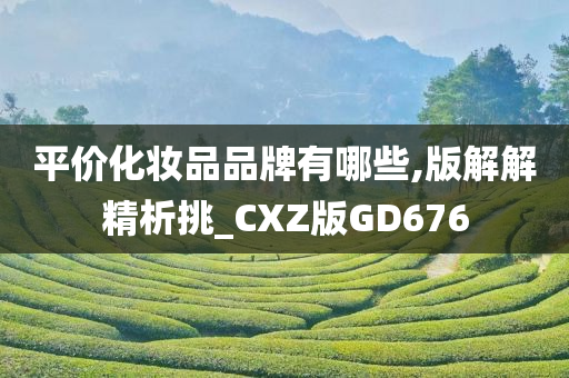 平价化妆品品牌有哪些,版解解精析挑_CXZ版GD676