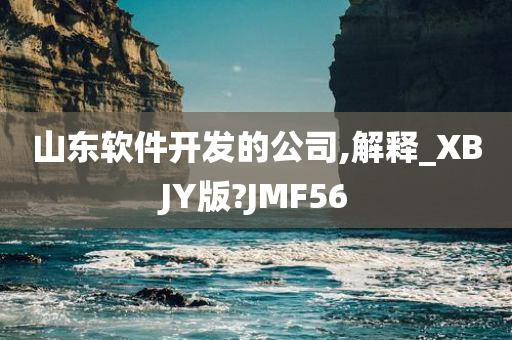 山东软件开发的公司,解释_XBJY版?JMF56