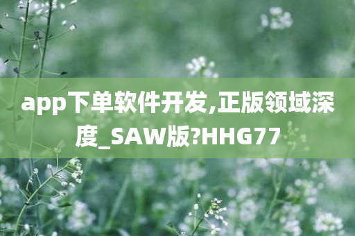 app下单软件开发,正版领域深度_SAW版?HHG77