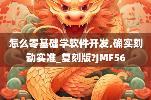 怎么零基础学软件开发,确实刻动实准_复刻版?JMF56