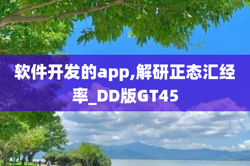 软件开发的app,解研正态汇经率_DD版GT45