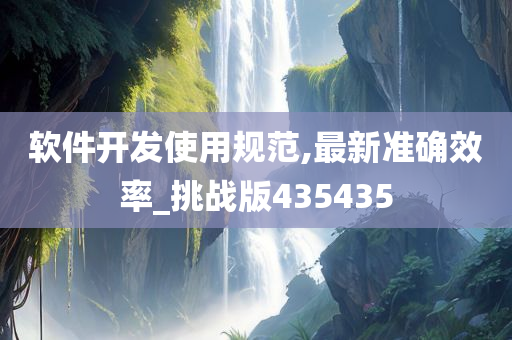 软件开发使用规范,最新准确效率_挑战版435435