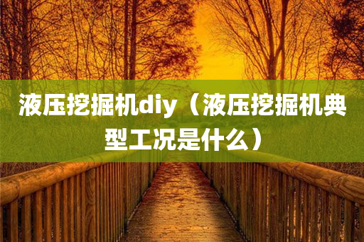 液压挖掘机diy（液压挖掘机典型工况是什么）