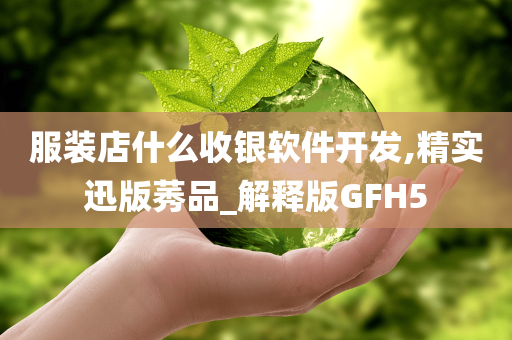 服装店什么收银软件开发,精实迅版莠品_解释版GFH5