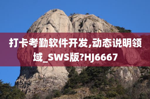 打卡考勤软件开发,动态说明领域_SWS版?HJ6667