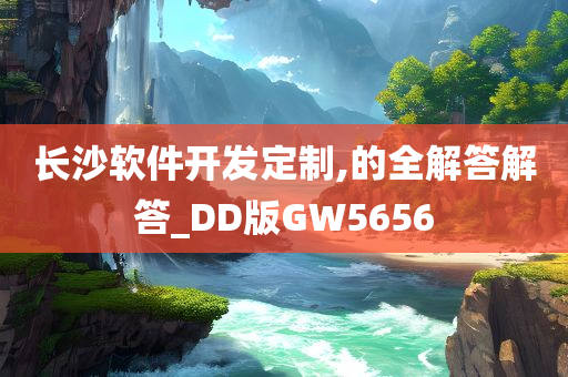 长沙软件开发定制,的全解答解答_DD版GW5656