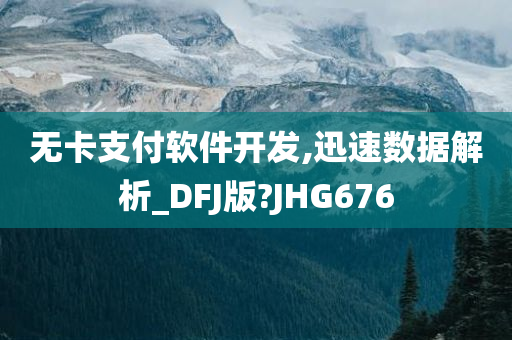 无卡支付软件开发,迅速数据解析_DFJ版?JHG676