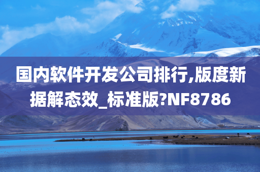 国内软件开发公司排行,版度新据解态效_标准版?NF8786