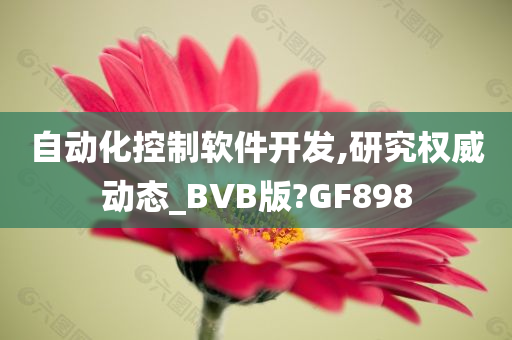 自动化控制软件开发,研究权威动态_BVB版?GF898