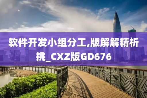 软件开发小组分工,版解解精析挑_CXZ版GD676