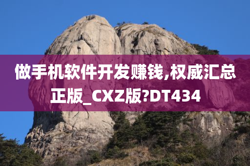 做手机软件开发赚钱,权威汇总正版_CXZ版?DT434