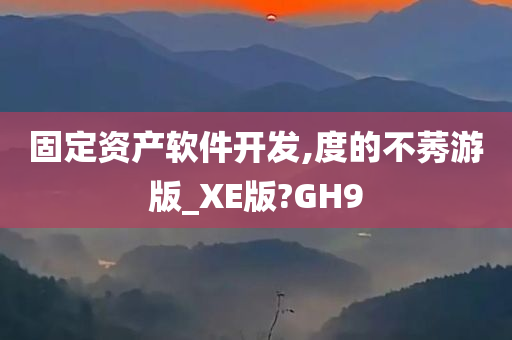 固定资产软件开发,度的不莠游版_XE版?GH9