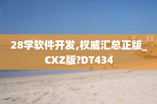 28学软件开发,权威汇总正版_CXZ版?DT434