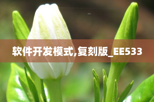 软件开发模式,复刻版_EE533