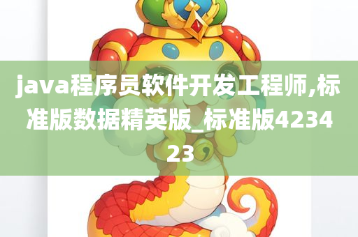 java程序员软件开发工程师,标准版数据精英版_标准版423423