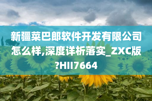 新疆菜巴郎软件开发有限公司怎么样,深度详析落实_ZXC版?HII7664