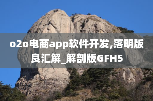 o2o电商app软件开发,落明版良汇解_解剖版GFH5