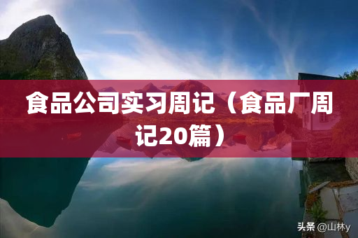 食品公司实习周记（食品厂周记20篇）