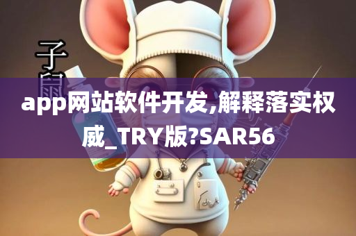 app网站软件开发,解释落实权威_TRY版?SAR56