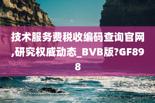 技术服务费税收编码查询官网,研究权威动态_BVB版?GF898